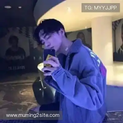 何鹰辉